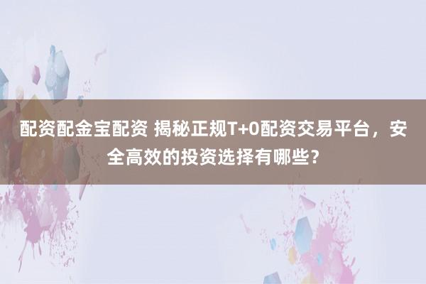 配资配金宝配资 揭秘正规T+0配资交易平台，安全高效的投资选择有哪些？