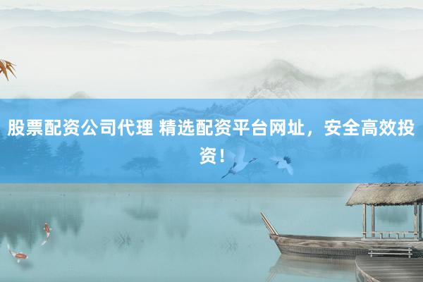 股票配资公司代理 精选配资平台网址，安全高效投资！