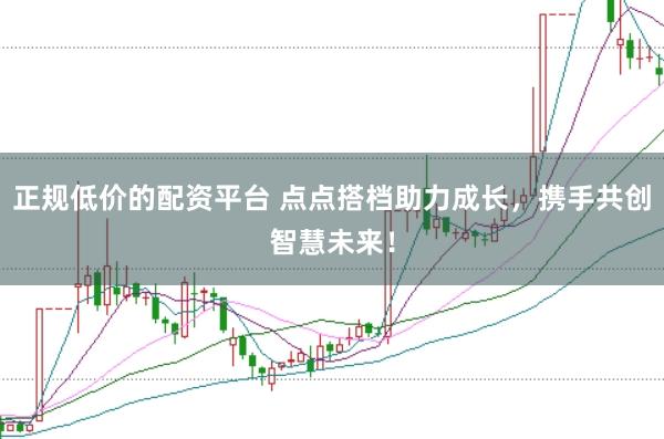 正规低价的配资平台 点点搭档助力成长，携手共创智慧未来！