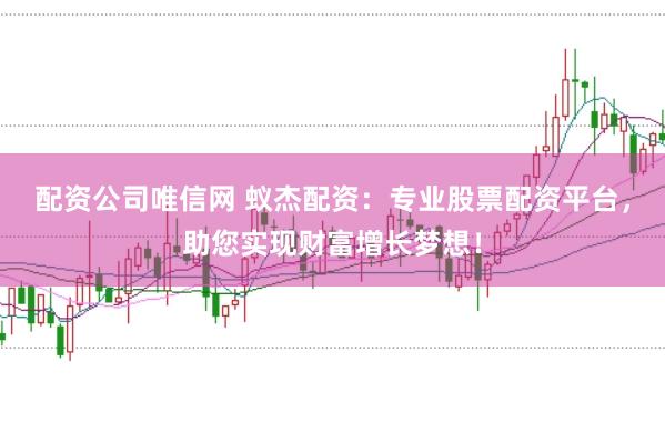 配资公司唯信网 蚁杰配资：专业股票配资平台，助您实现财富增长梦想！