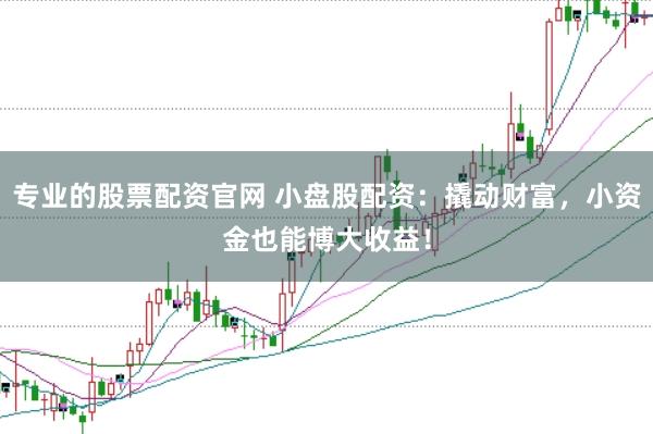 专业的股票配资官网 小盘股配资：撬动财富，小资金也能博大收益！