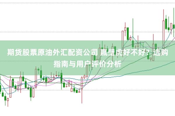 期货股票原油外汇配资公司 赢壁虎好不好？选购指南与用户评价分析