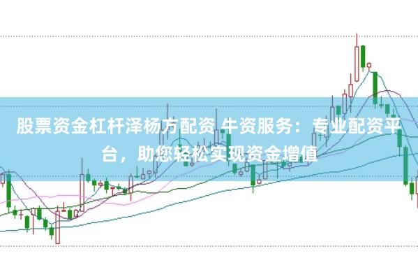 股票资金杠杆泽杨方配资 牛资服务：专业配资平台，助您轻松实现资金增值