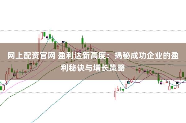 网上配资官网 盈利达新高度：揭秘成功企业的盈利秘诀与增长策略