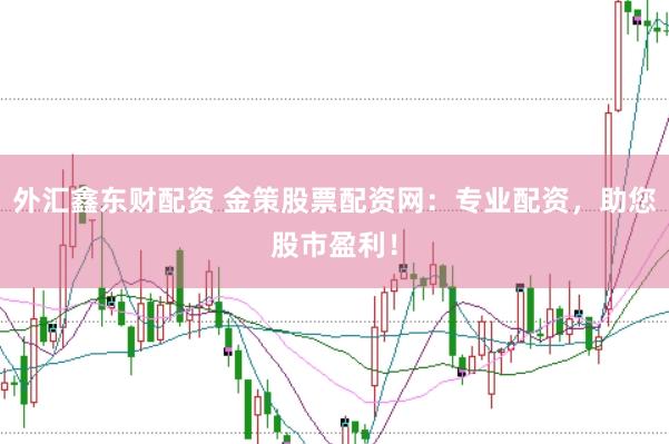 外汇鑫东财配资 金策股票配资网：专业配资，助您股市盈利！