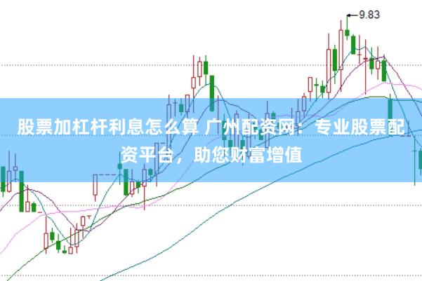 股票加杠杆利息怎么算 广州配资网：专业股票配资平台，助您财富增值