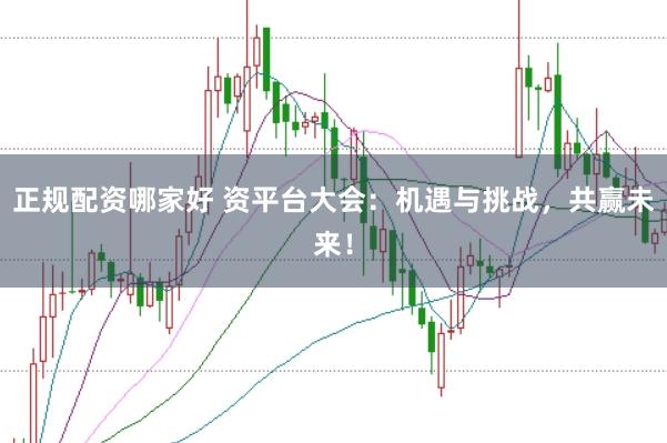 正规配资哪家好 资平台大会：机遇与挑战，共赢未来！