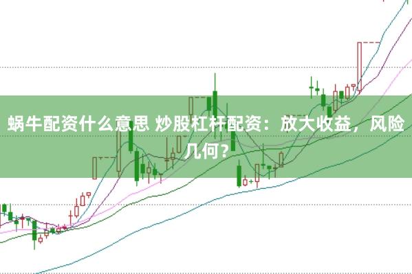 蜗牛配资什么意思 炒股杠杆配资：放大收益，风险几何？