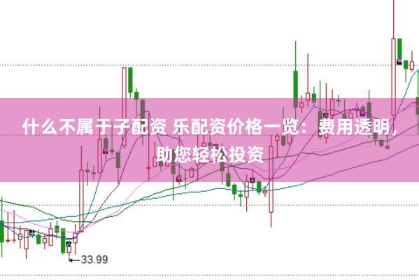 什么不属于子配资 乐配资价格一览：费用透明，助您轻松投资