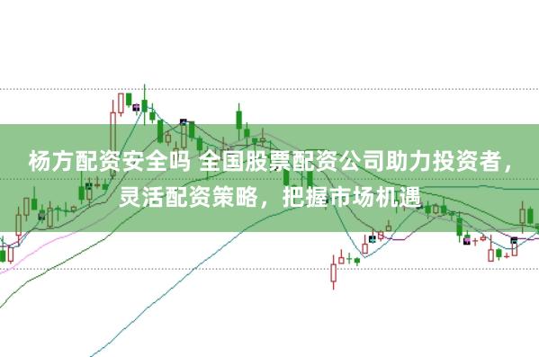 杨方配资安全吗 全国股票配资公司助力投资者，灵活配资策略，把握市场机遇