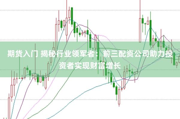 期货入门 揭秘行业领军者:前三配资公司助力投资者实现财富增长