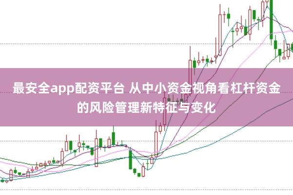 最安全app配资平台 从中小资金视角看杠杆资金的风险管理新特征与变化