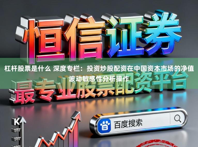 杠杆股票是什么 深度专栏：投资炒股配资在中国资本市场的净值波动敏感性分析操作