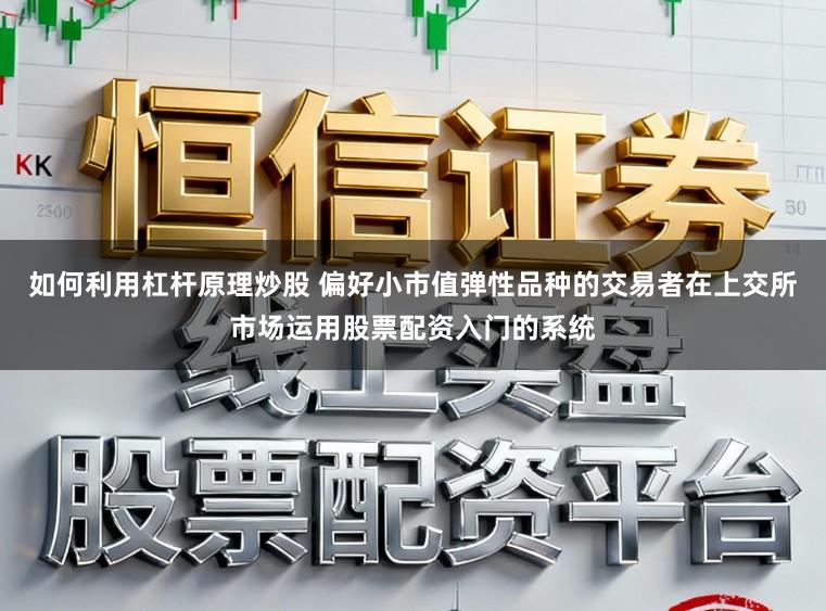 如何利用杠杆原理炒股 偏好小市值弹性品种的交易者在上交所市场运用股票配资入门的系统