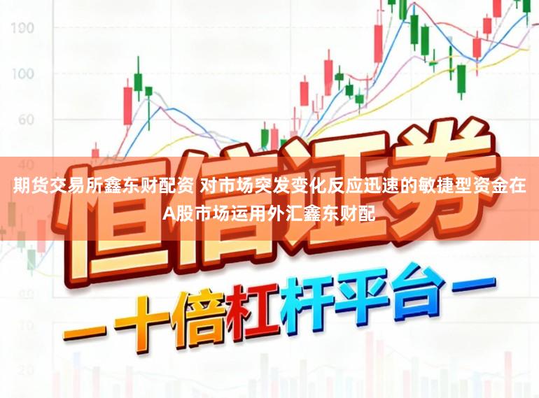 期货交易所鑫东财配资 对市场突发变化反应迅速的敏捷型资金在A股市场运用外汇鑫东财配