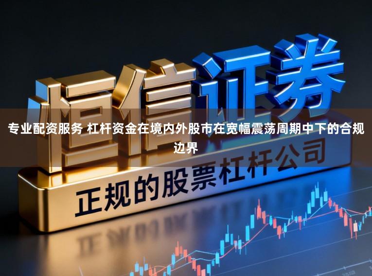 专业配资服务 杠杆资金在境内外股市在宽幅震荡周期中下的合规边界